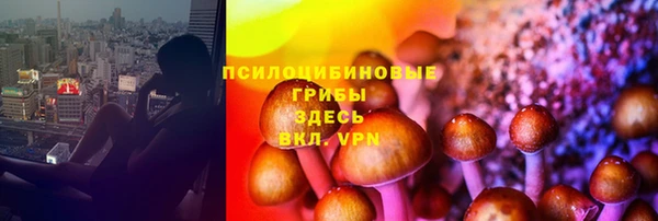 тгк Белокуриха