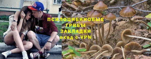 a pvp Белоозёрский