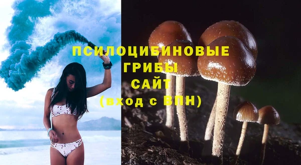 тгк Белокуриха
