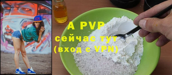 тгк Белокуриха