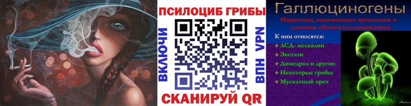 Псилоцибиновые грибы Psilocybe  Воркута 