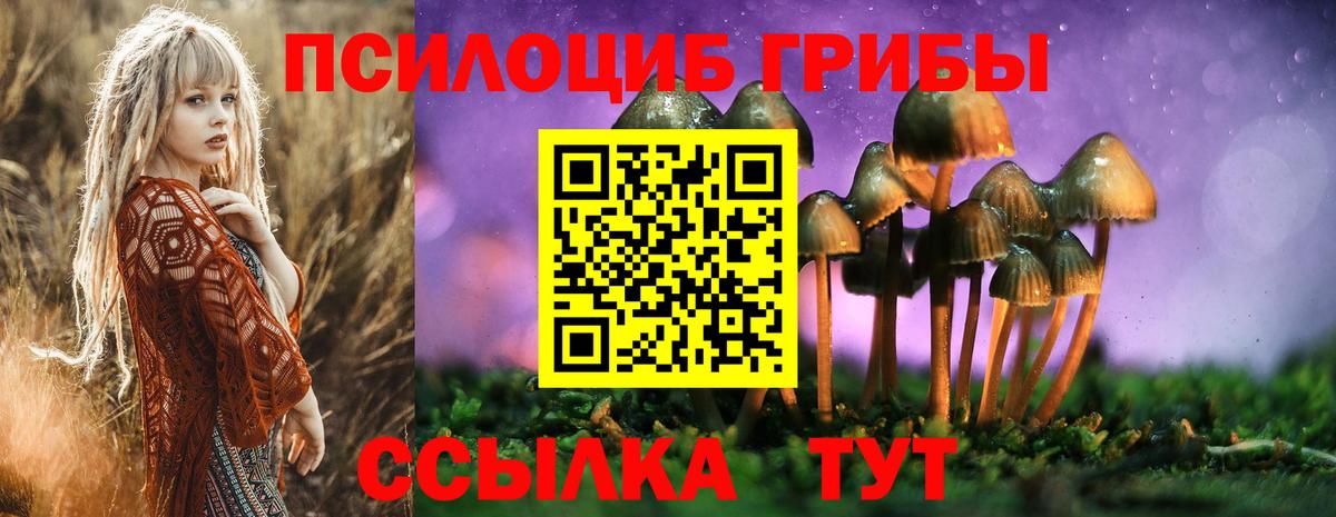 Галлюциногенные грибы Psilocybe  Вход с VPN  Псилоцибиновые грибы MAGIC MUSHROOMS  Воркута 